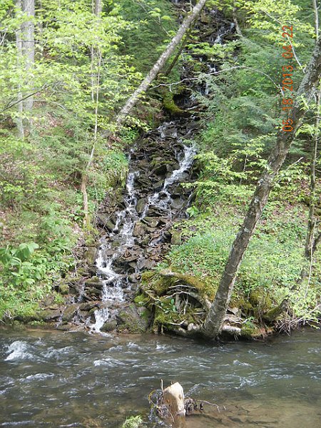 camp 05-17-13 045.jpg -                                